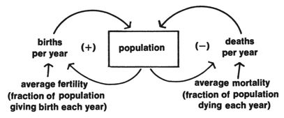 /published-derivatives/meadows/figures/meadows_ltg_p034_01.jpg