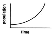 /published-derivatives/meadows/figures/meadows_ltg_p036_01.jpg