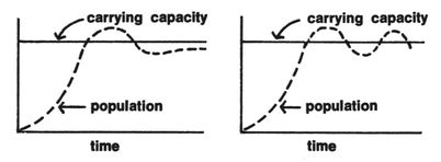 /published-derivatives/meadows/figures/meadows_ltg_p092_01.jpg