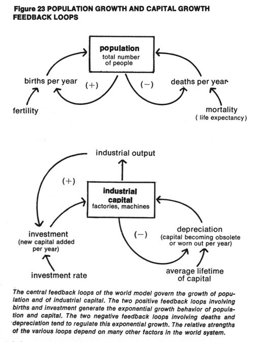 /published-derivatives/meadows/figures/meadows_ltg_p095_f23.jpg