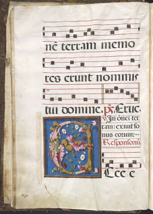/content/deliver/inline/antiphonal/figures/antiphonal-005v.jpg