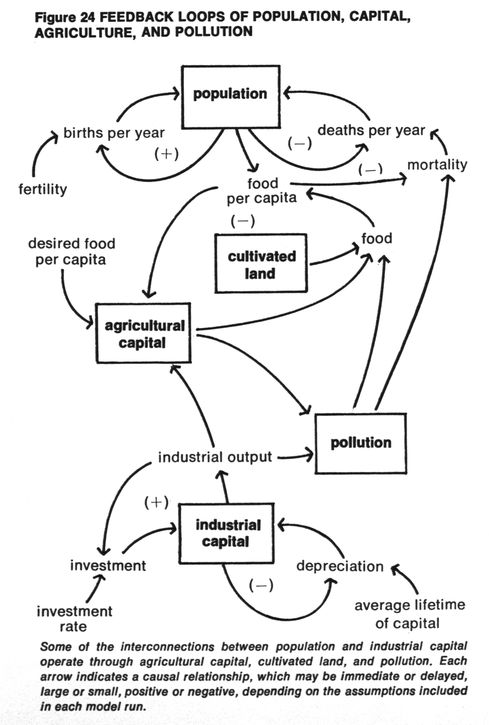 /content/deliver/inline/meadows/figures/meadows_ltg_p097_f24.jpg