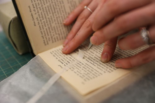 /xcdas-derivative/book-repair/figures/book-repair_p14_14_centertissue.jpg