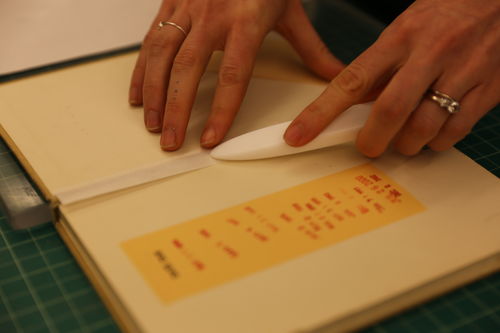 /xcdas-derivative/book-repair/figures/book-repair_p16_08_bonepaper.jpg