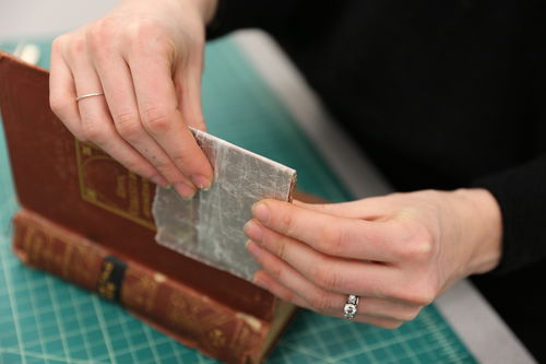 /xcdas-derivative/book-repair/figures/book-repair_p17_06_waxpaper.jpg
