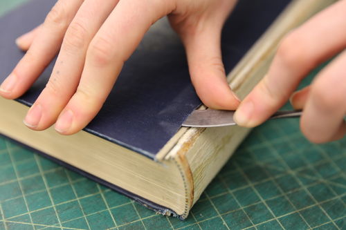 /xcdas-derivative/book-repair/figures/book-repair_p19_04_spatulalift.jpg