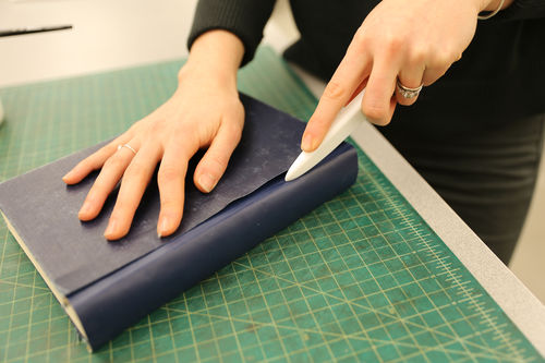 /xcdas-derivative/book-repair/figures/book-repair_p19_12_moldcloth.jpg