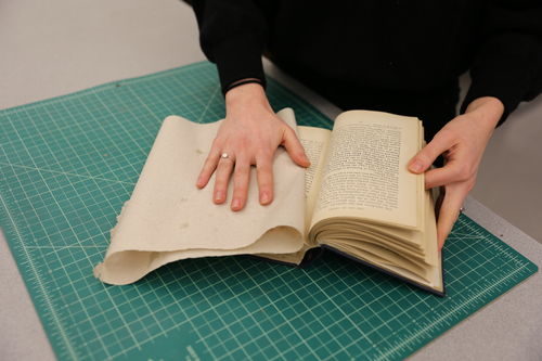 /xcdas-derivative/book-repair/figures/book-repair_p20_02_blot.jpg