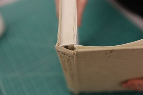 /xcdas-derivative/book-repair/figures/book-repair_p21_02_exposehinges.jpg