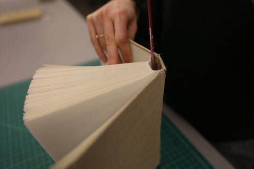 /xcdas-derivative/book-repair/figures/book-repair_p21_04_insertneedle.jpg